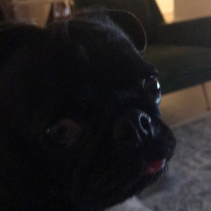 Meet your Posher, Mark